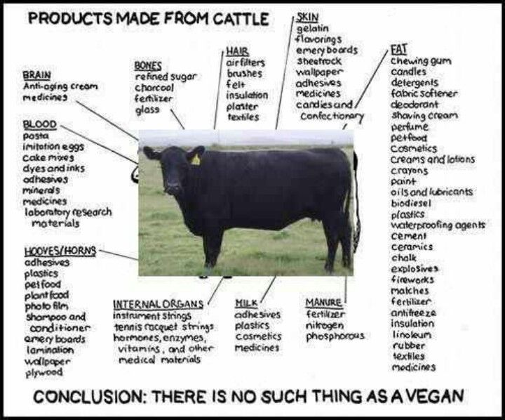 cattle products